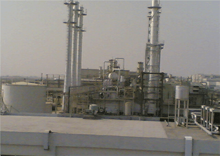 Maruti Suzuki Automobiles India Ltd.